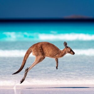 Beautiful City Life Of Perth– Adelaide & Melbourne